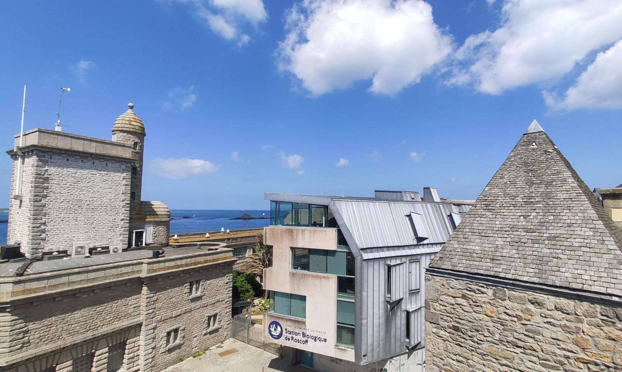 Roscoff 2 Pieces Classe 2 Etoiles Et Terrasse Centre Historique ภายนอก รูปภาพ